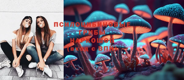 мяу мяу мука Белоозёрский