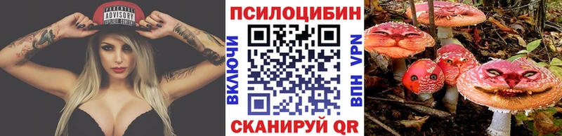 Псилоцибиновые грибы Psilocybine cubensis  omg как войти  Фурманов 