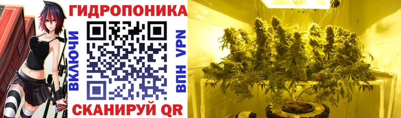 Конопля гибрид  где купить   Фурманов 